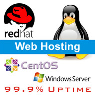 Web Hosting Services